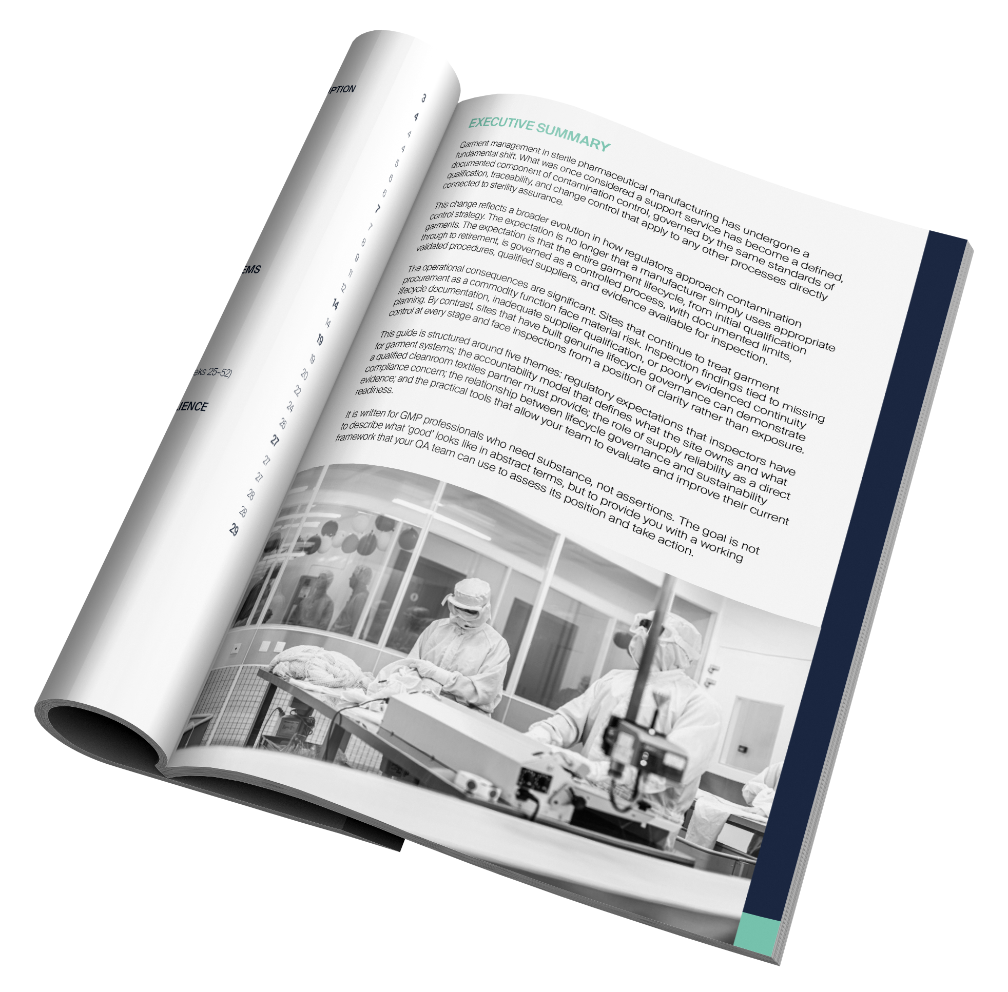 Annex 1 guide - mockup Annex 1 guide - mockup